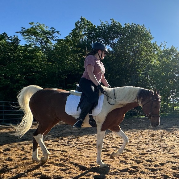 Meet your Posher, Maddie - Picture 1 of 1